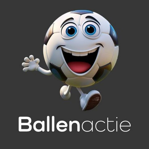 Ballenactie DSS'14
